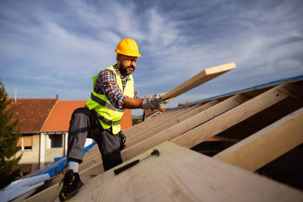 Best Roof Moss and Algae Removal  in Burien, WA